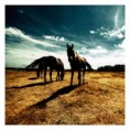 /album/obrazky8/horses-jpg/
